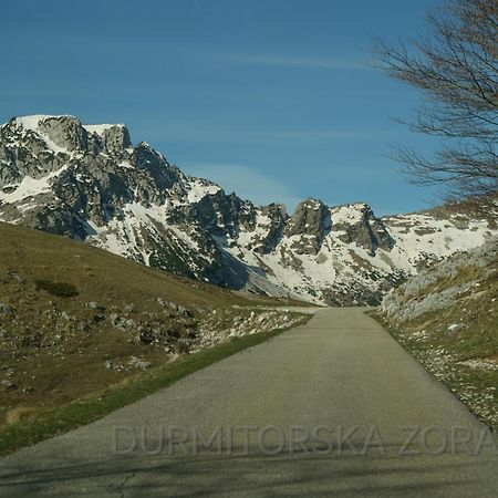 Vila Durmitorska Zora Žabljak Exteriér fotografie