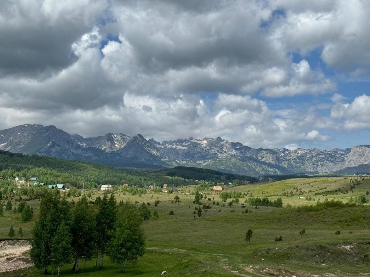 Vila Durmitorska Zora Žabljak Exteriér fotografie